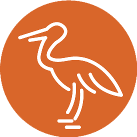 bird_orange