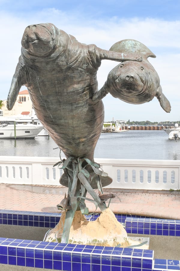 Manatee Sculpture Bradenton Riverwalk