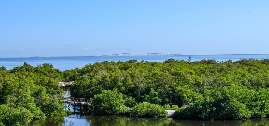 Robinson Preserve