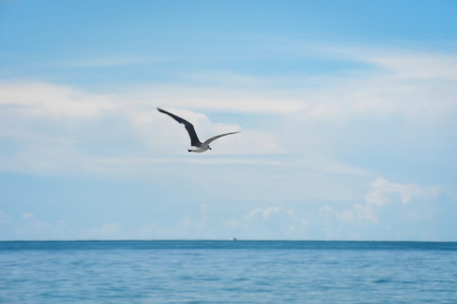Anna Maria Island Beaches