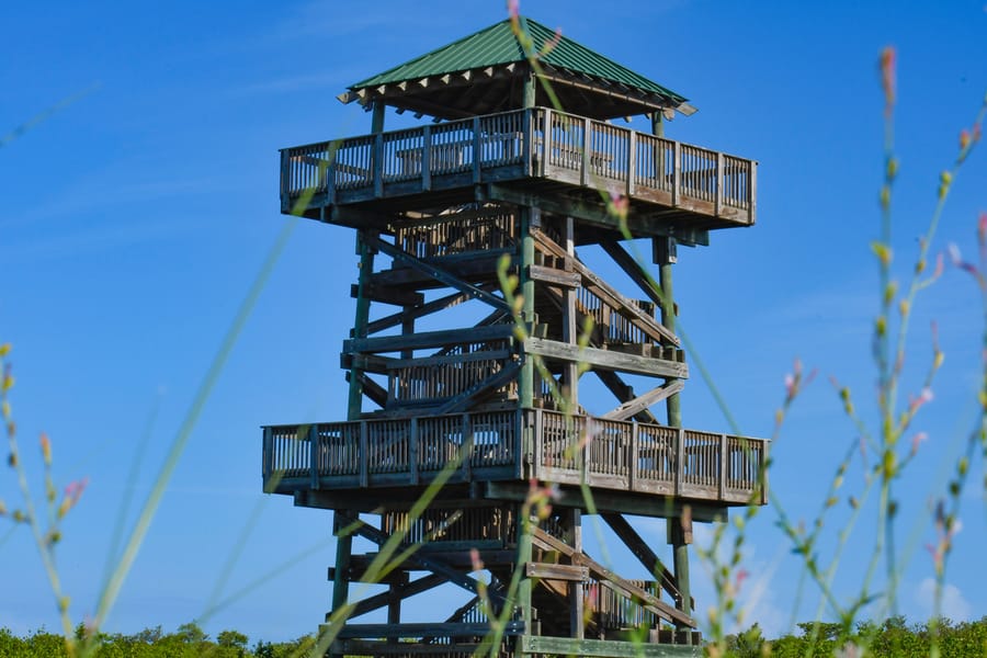 Robinson Preserve