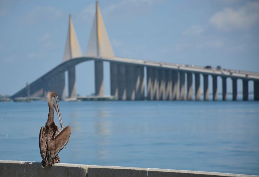 Sunshine Skyway South Fishing Pier