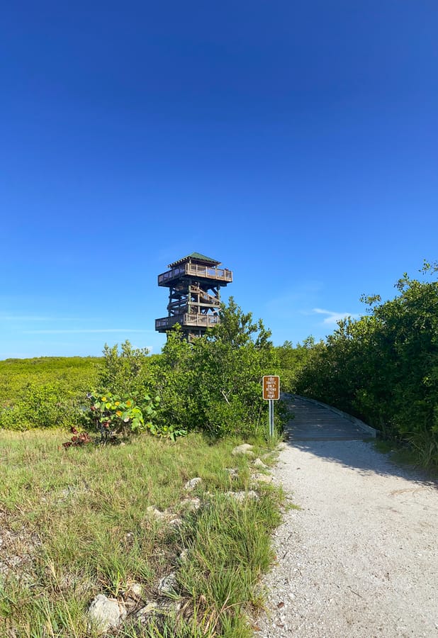 Robinson Preserve