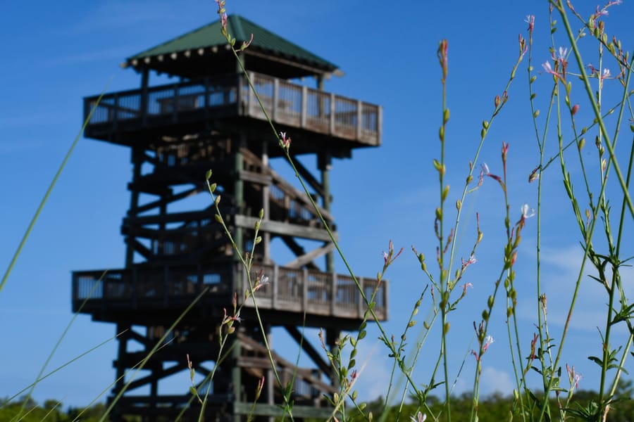 Robinson Preserve