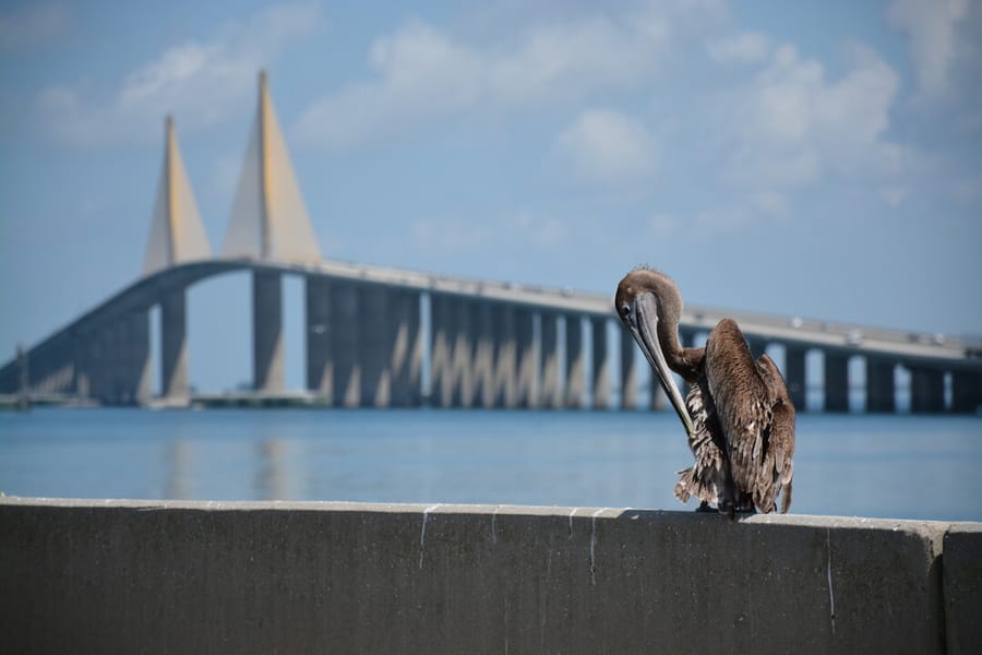 Sunshine Skyway South Fishing Pier