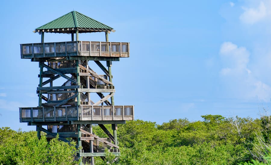 Robinson Preserve
