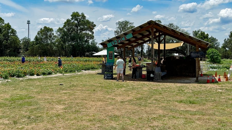 Sweetfields Farm 2023-05-12 at 4.16.46 PM