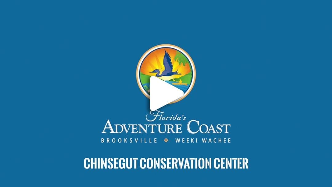 Chinsegut Conservation Center Outdoor Classroom 2023_Final