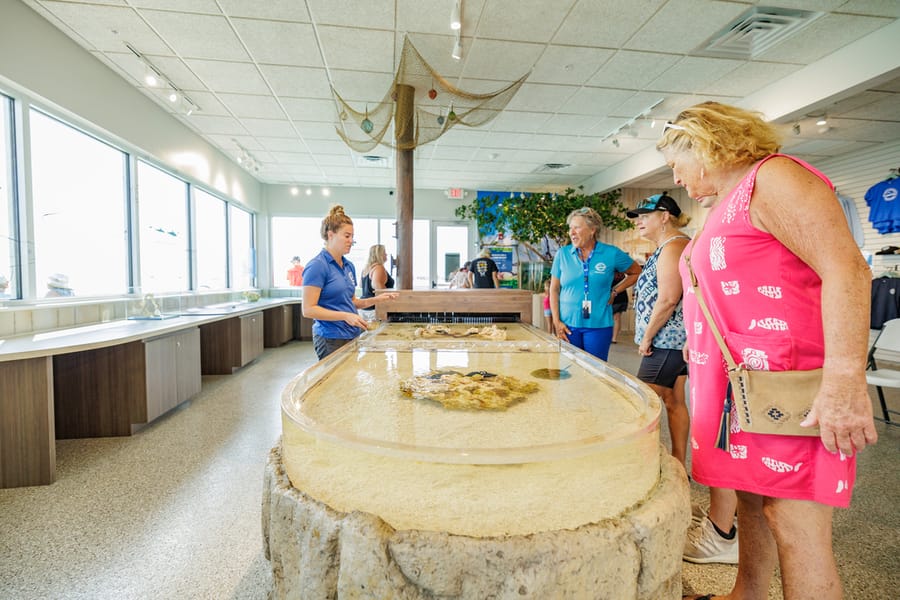 Mote Marine at the Anna Maria Island City Pier