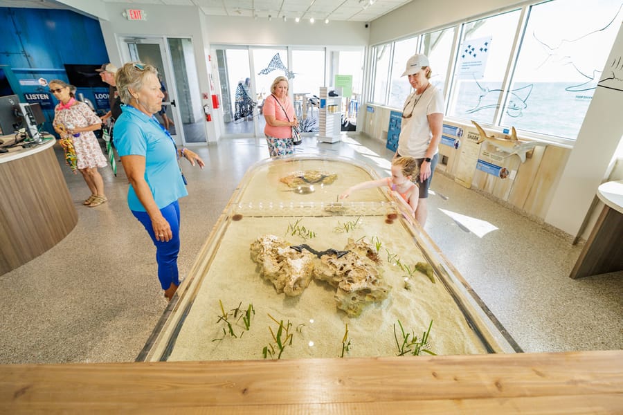 Mote Marine at the Anna Maria Island City Pier