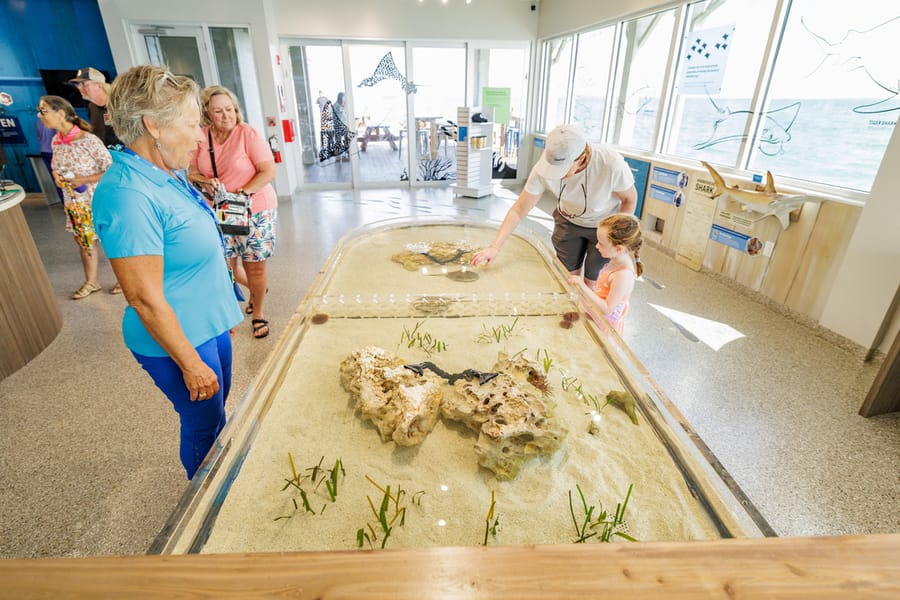 Mote Marine at the Anna Maria Island City Pier