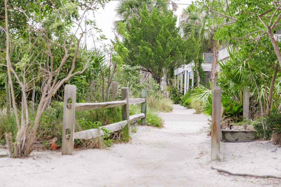 Pine Avenue Scenic
