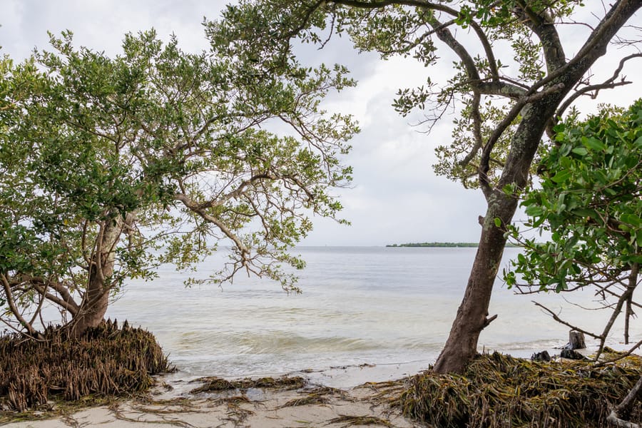 De Soto National Memorial