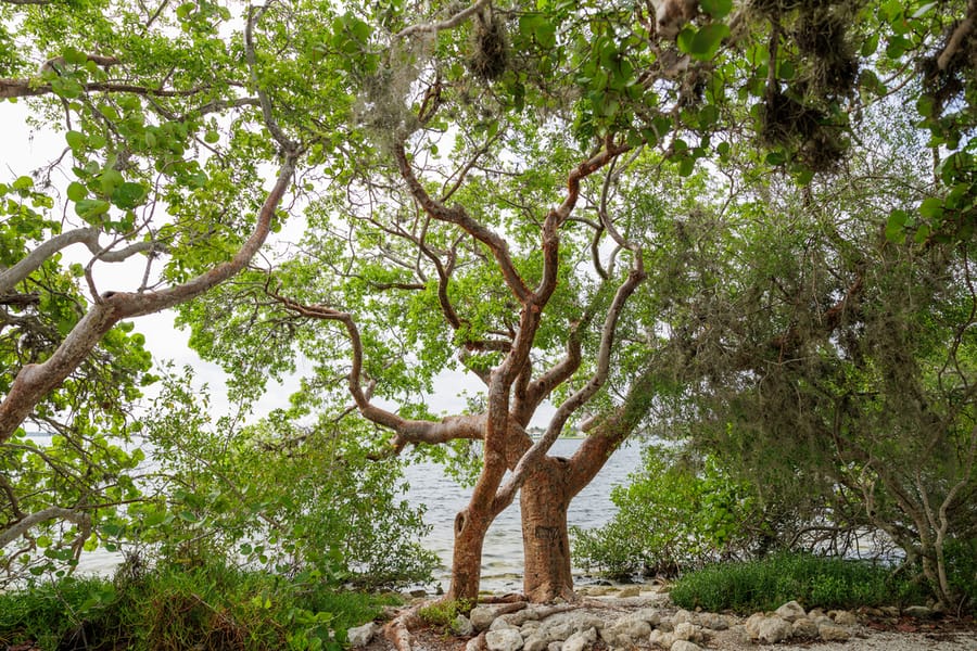 De Soto National Memorial