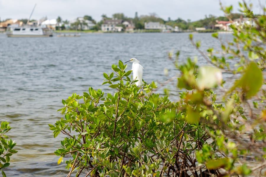 De Soto National Memorial
