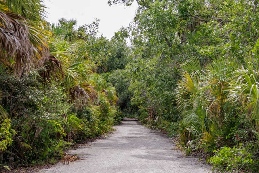 De Soto National Memorial