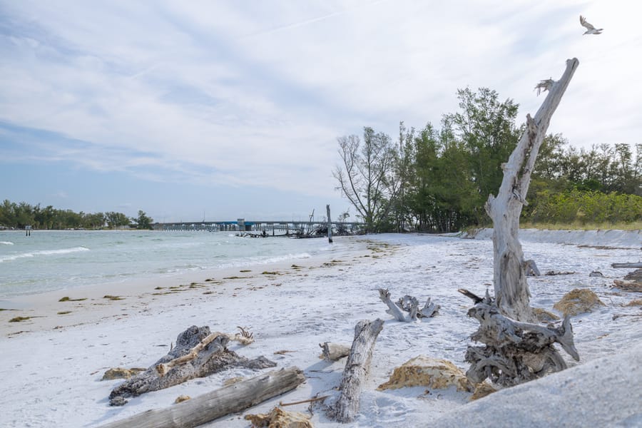 Greer (Beer Can) Island