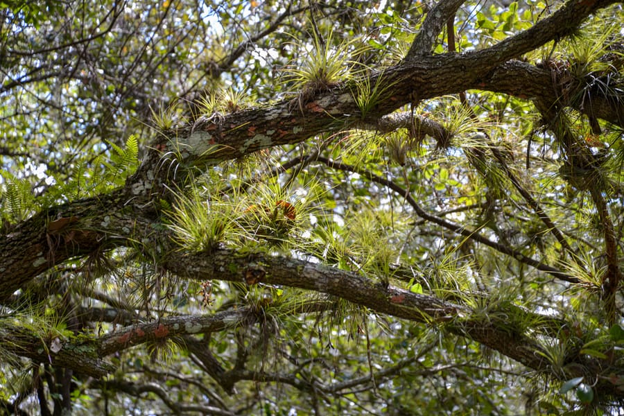 20190827_SleepingTurtlesPreserve_006_SD