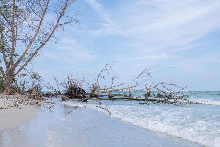 Greer (Beer Can) Island