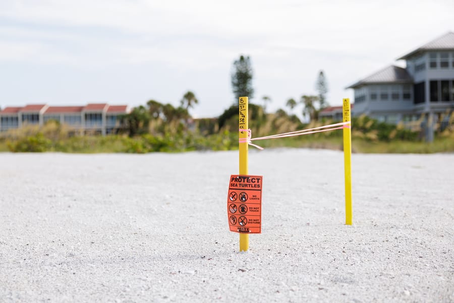 Whitney Beach Longboat Key