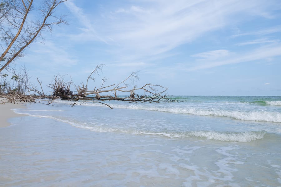 Greer (Beer Can) Island