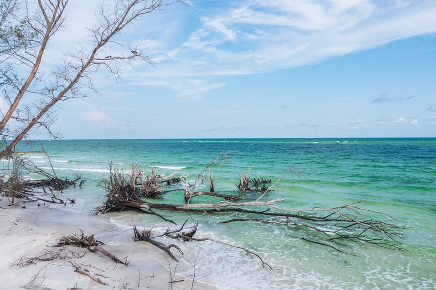 Greer (Beer Can) Island