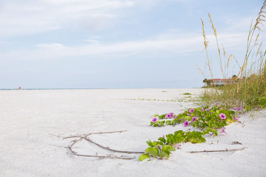Whitney Beach Longboat Key