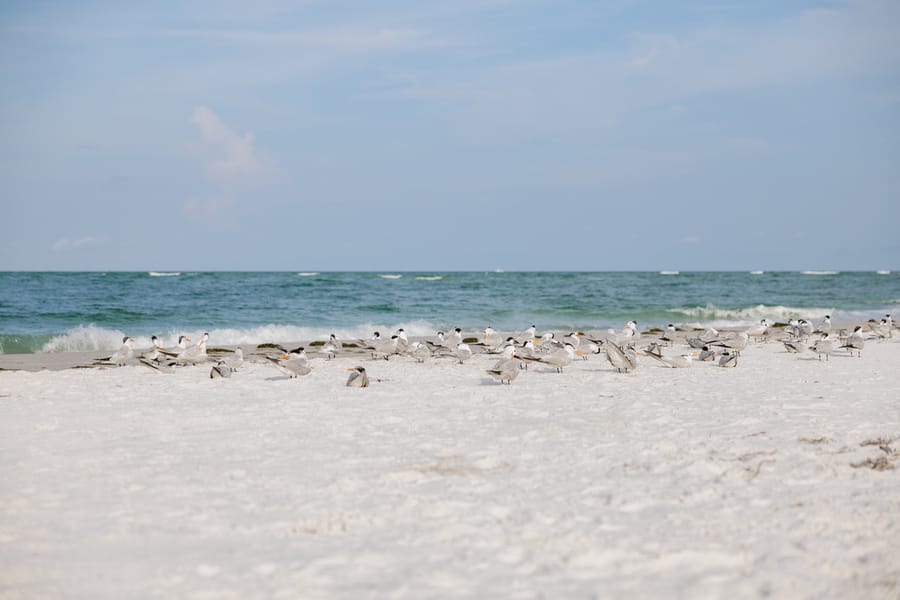 Whitney Beach Longboat Key