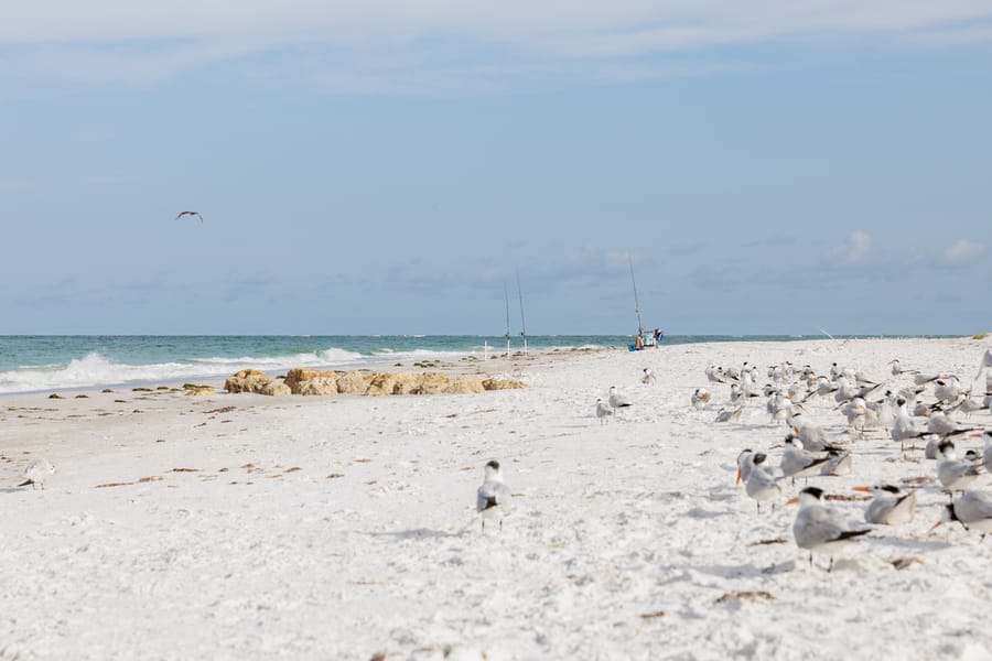 Whitney Beach Longboat Key