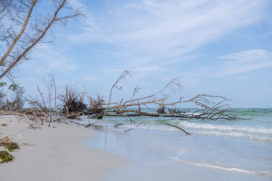 Greer (Beer Can) Island