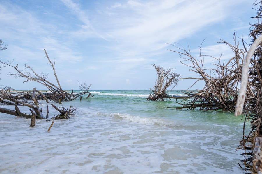 Greer (Beer Can) Island