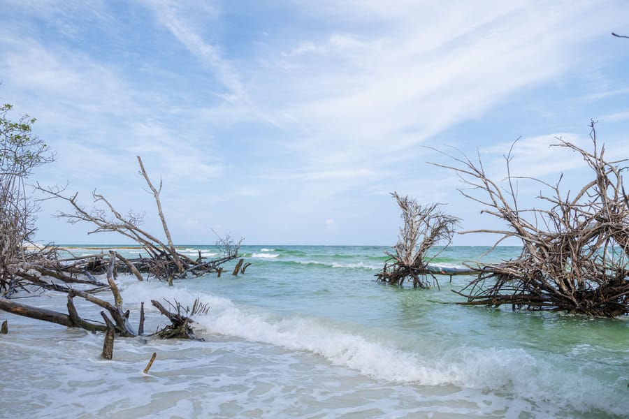 Greer (Beer Can) Island