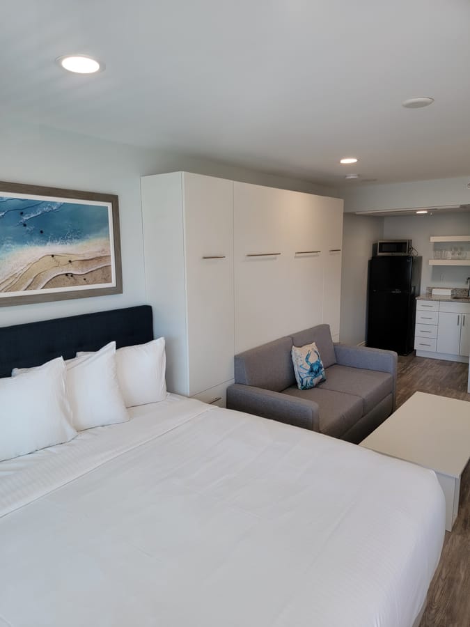 Sand Dollar and Starfish Studio Suite1