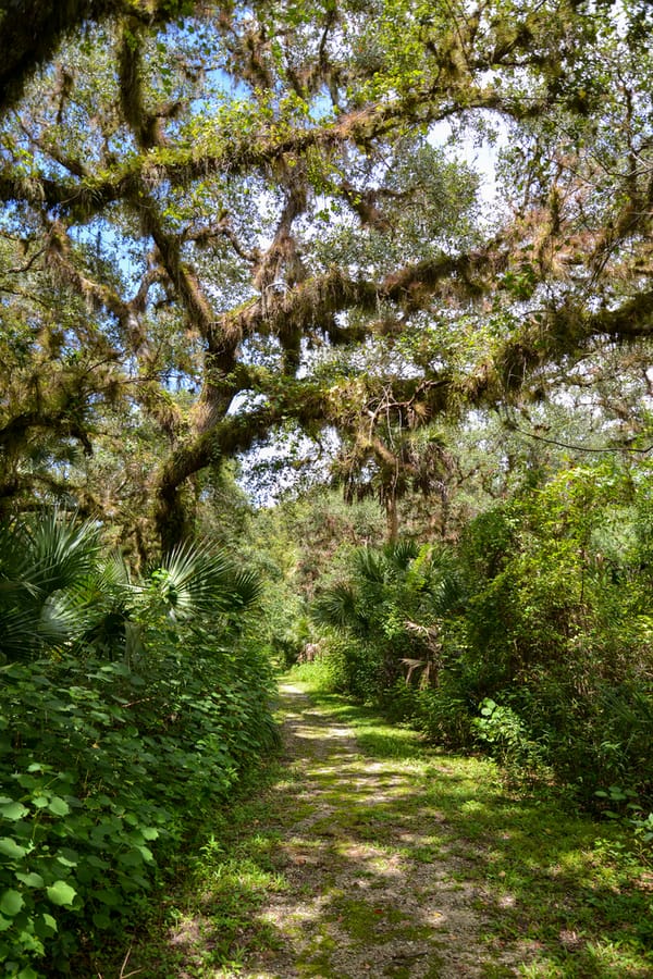 20190827_SleepingTurtlesPreserve_034_SD