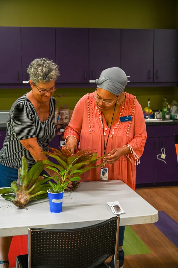 20230622_PlantSwap_007_SD