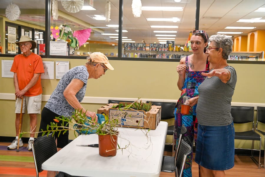 20230622_PlantSwap_004_SD