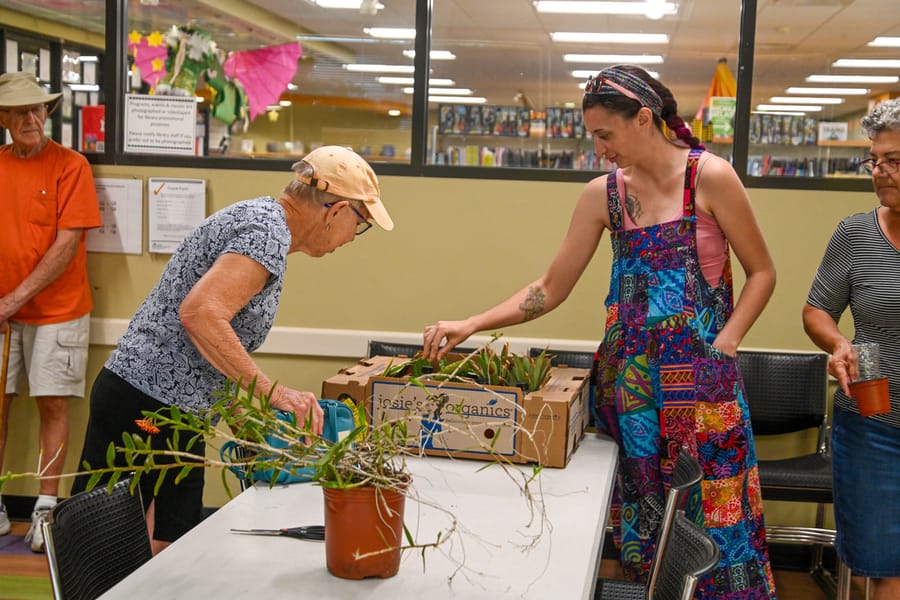 20230622_PlantSwap_003_SD