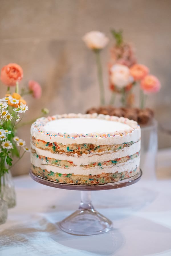 Guzik Wedding 6.25.23 Fox and Film