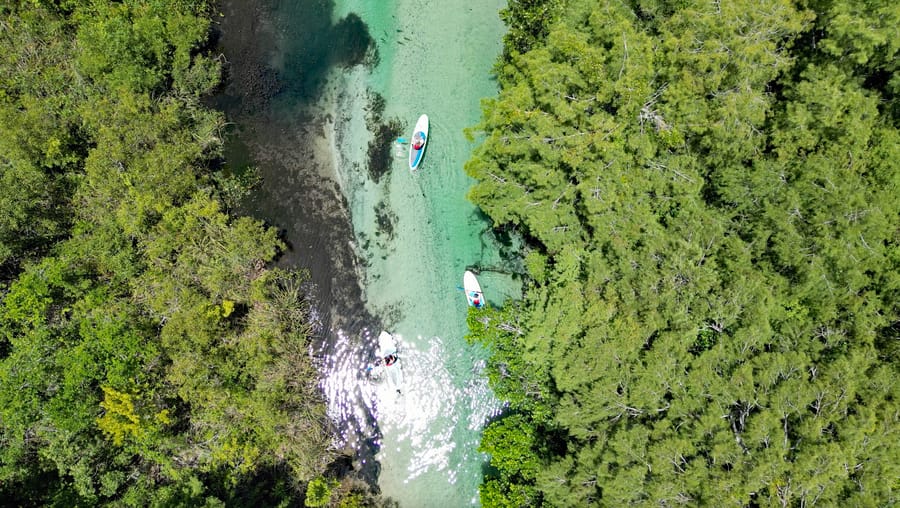 Kayaking Weeki Wachee 2023-07-14 at 1.34.18 PM