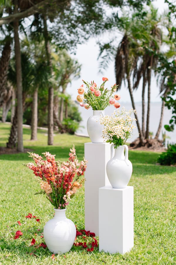 Guzik Wedding 6.25.23 Fox and Film