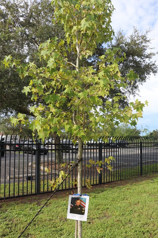 Tree & Branch Memorial 2022 (27)