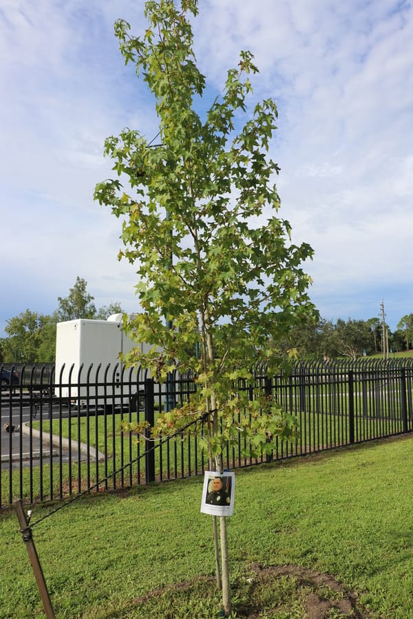Tree & Branch Memorial 2022 (3)