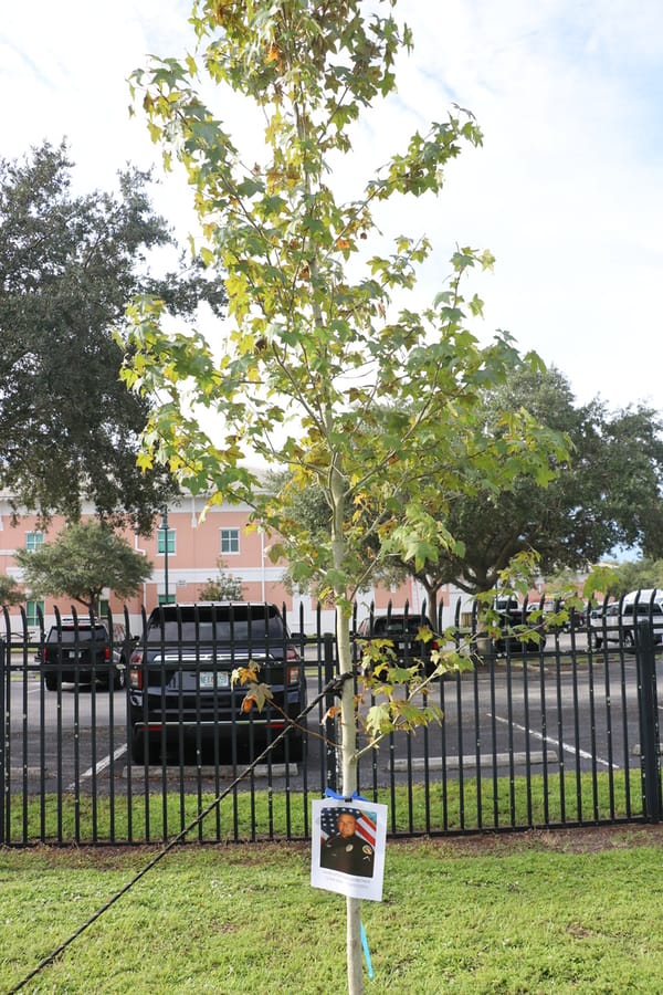 Tree & Branch Memorial 2022 (25)
