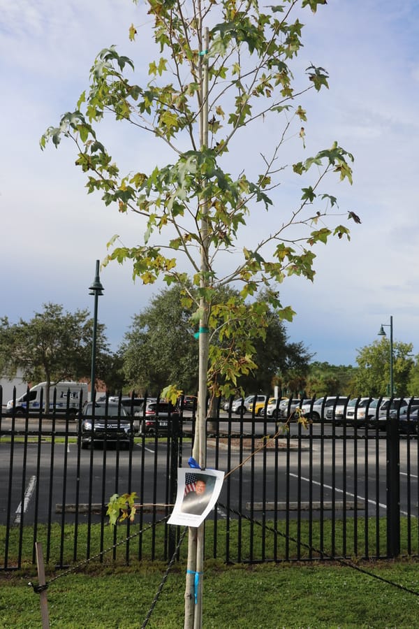 Tree & Branch Memorial 2022 (1)