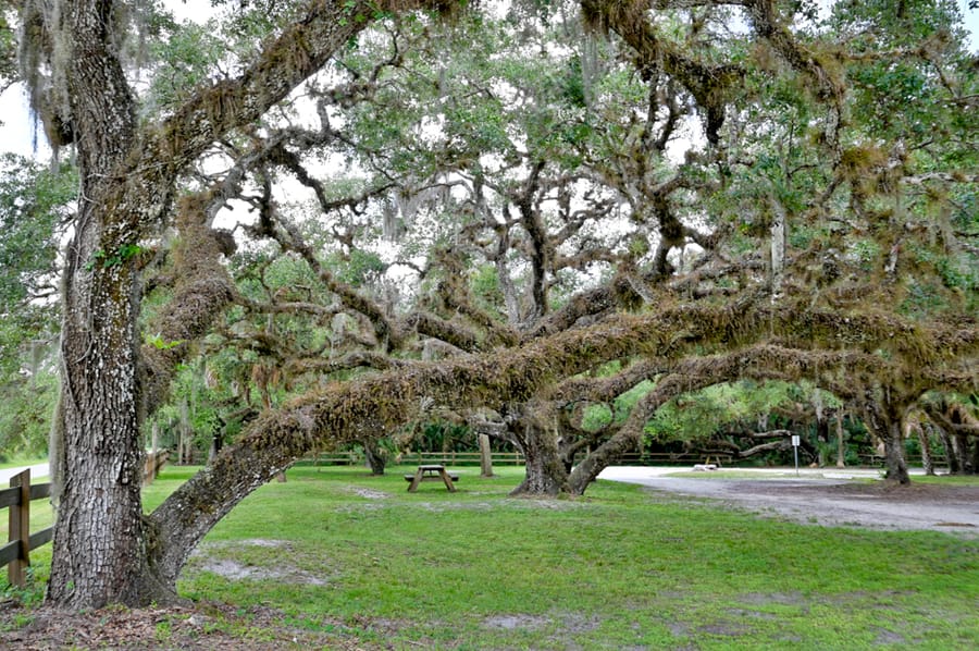 Oaks Park (6 of 9)