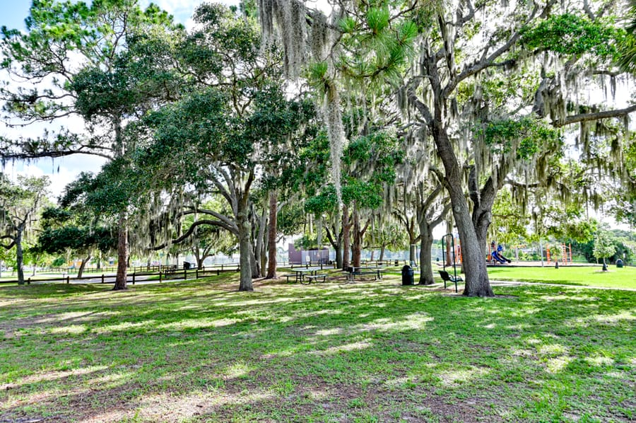 McKibben Park (1 of 21)