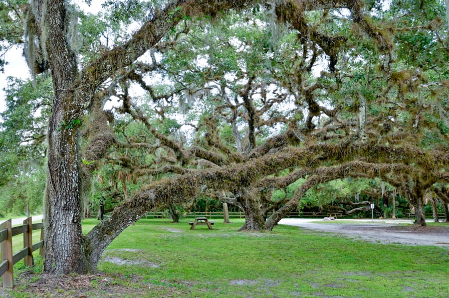 Oaks Park (7 of 9)