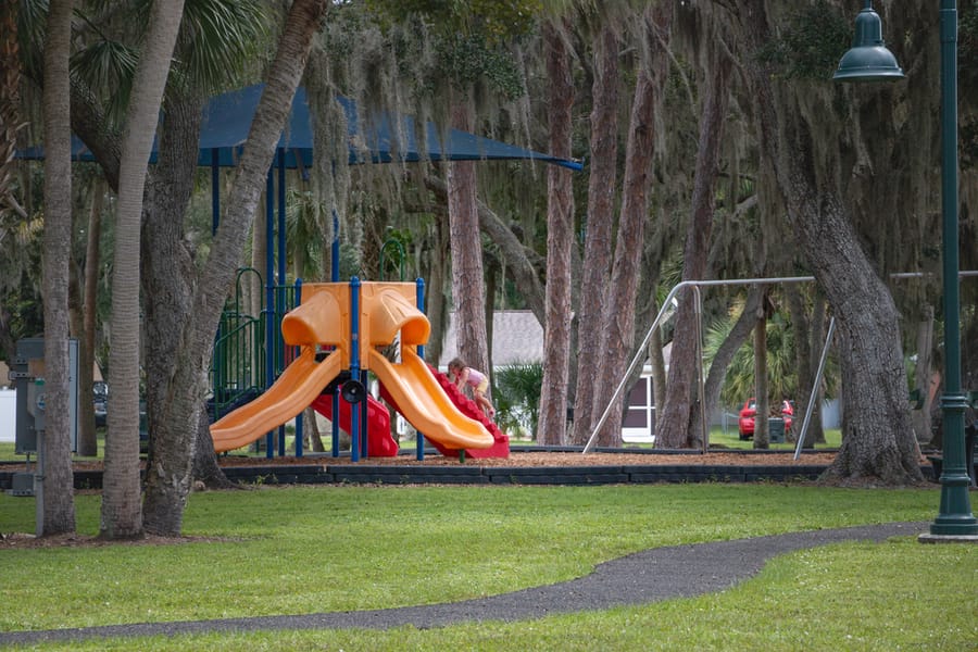 PINE PARK-3