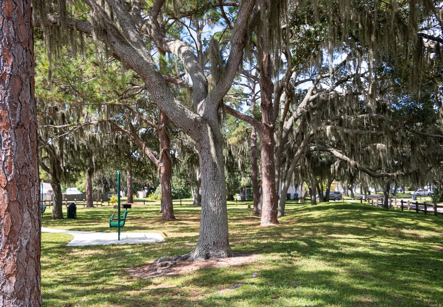 Mckibben Park-2