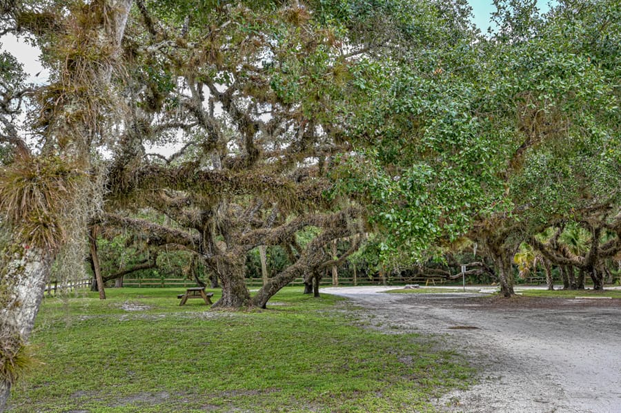 Oaks Park (4 of 9)